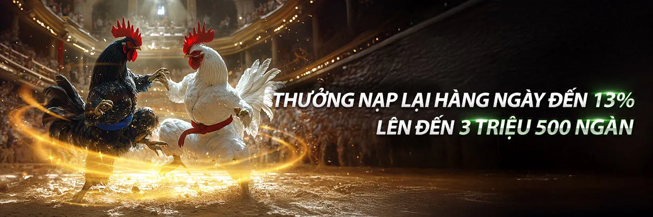 Sân vận động thể thao sôi động của Onbet